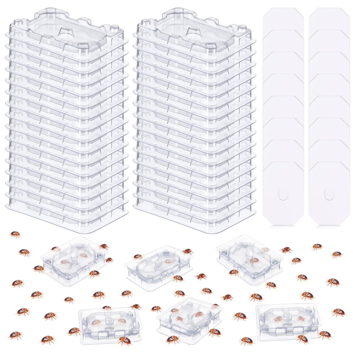 Qualirey bed bug detector trap under furniture enables discreet early monitoring.