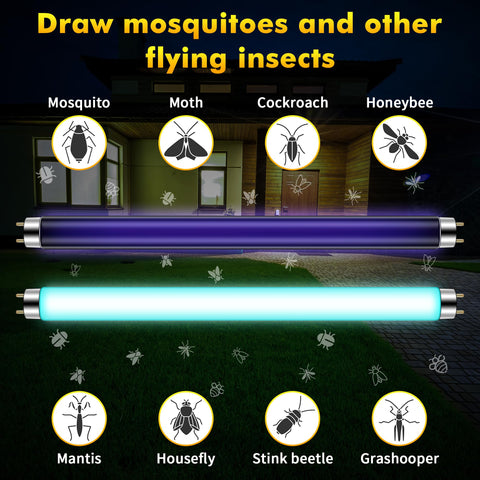 Qualirey black tube close-up highlights UV glow targeting moths and flies.