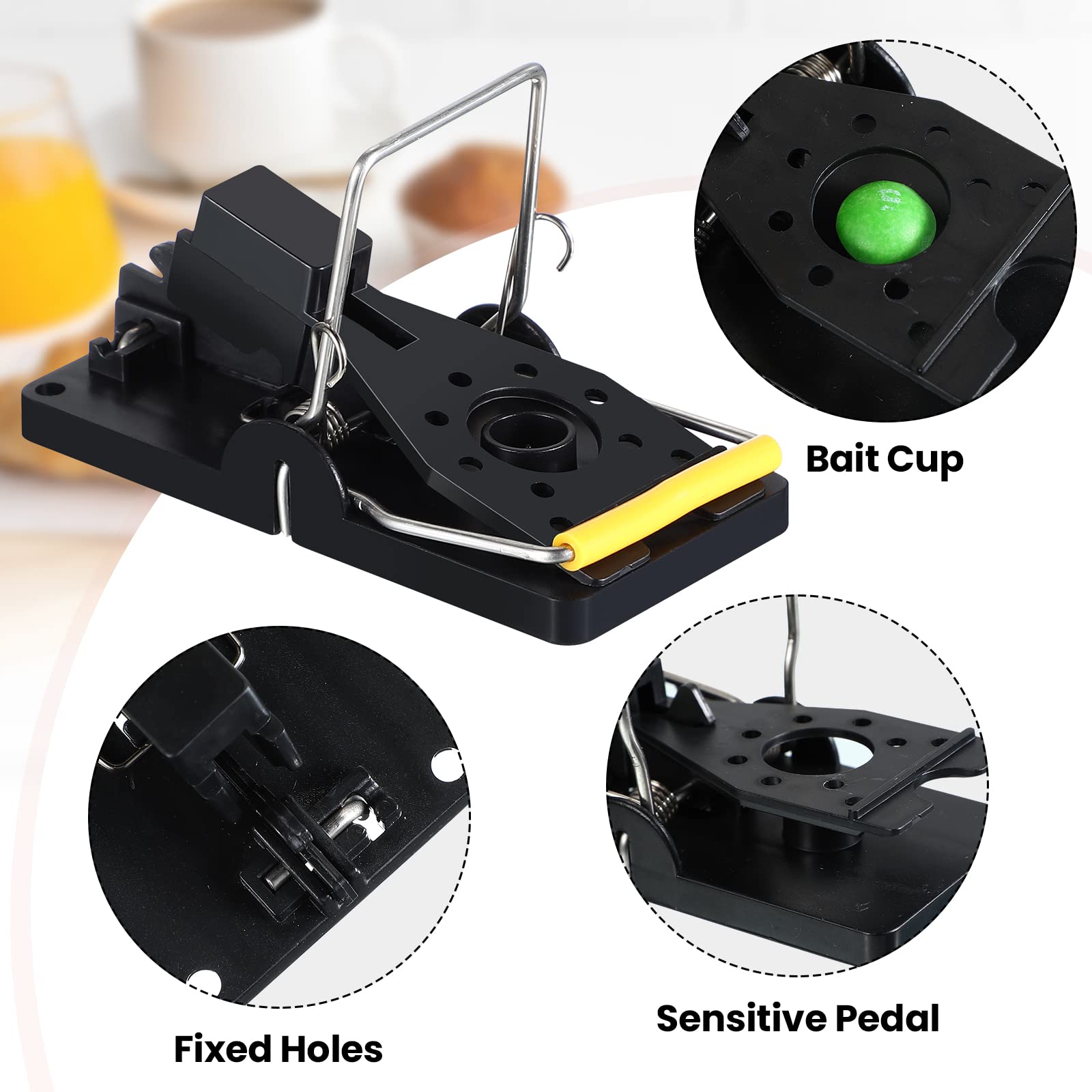 Qualirey compact 3.86 by 1.81 inch trap fits tight spaces