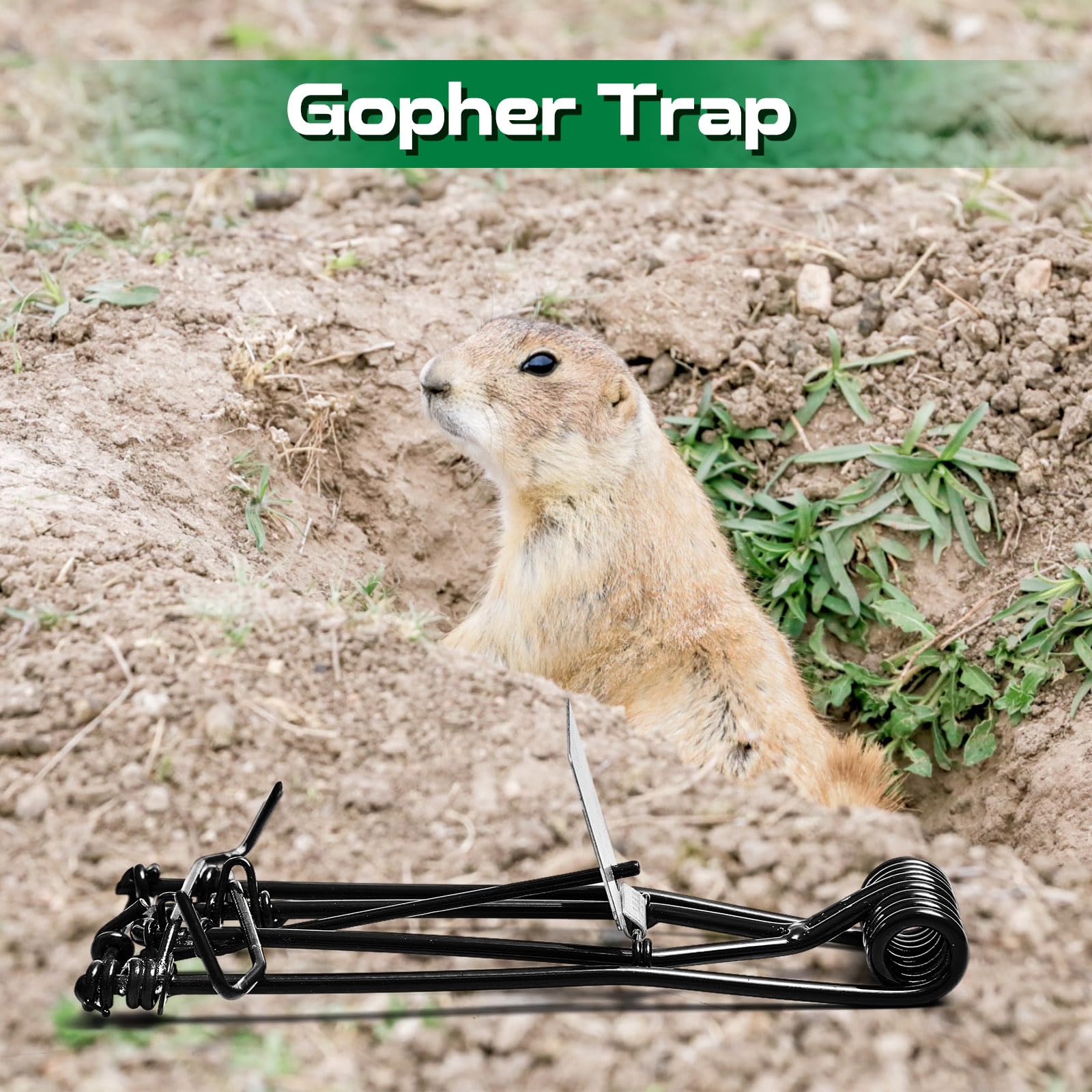 Qualirey concealed underground installation minimizes exposure and maintenance.