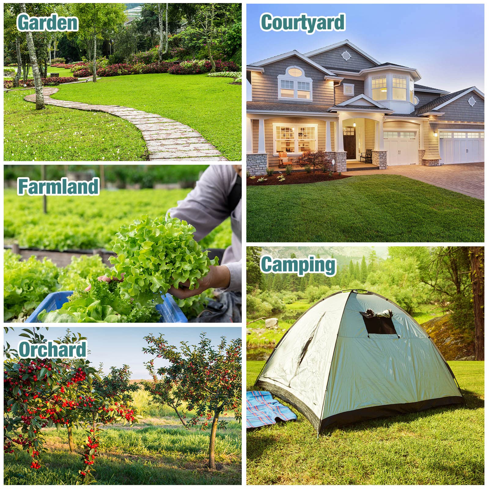 Qualirey covers up to 7000 square feet with square-head deterrents