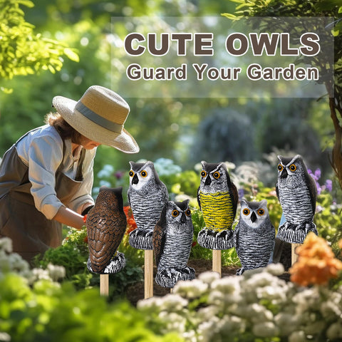 Qualirey decorative owl garden ornament adds color and whimsy