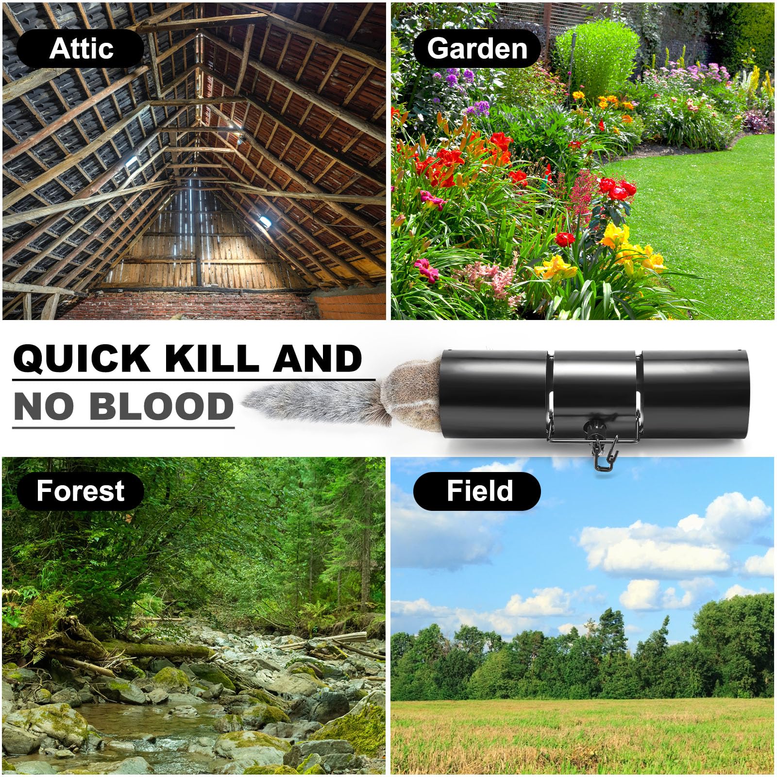 Qualirey double torsion spring trap delivers strong action and quick responses