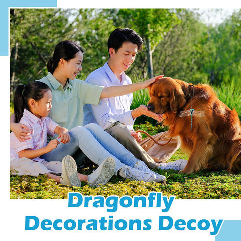 Qualirey dragonfly decoration in garden, elegant focal point