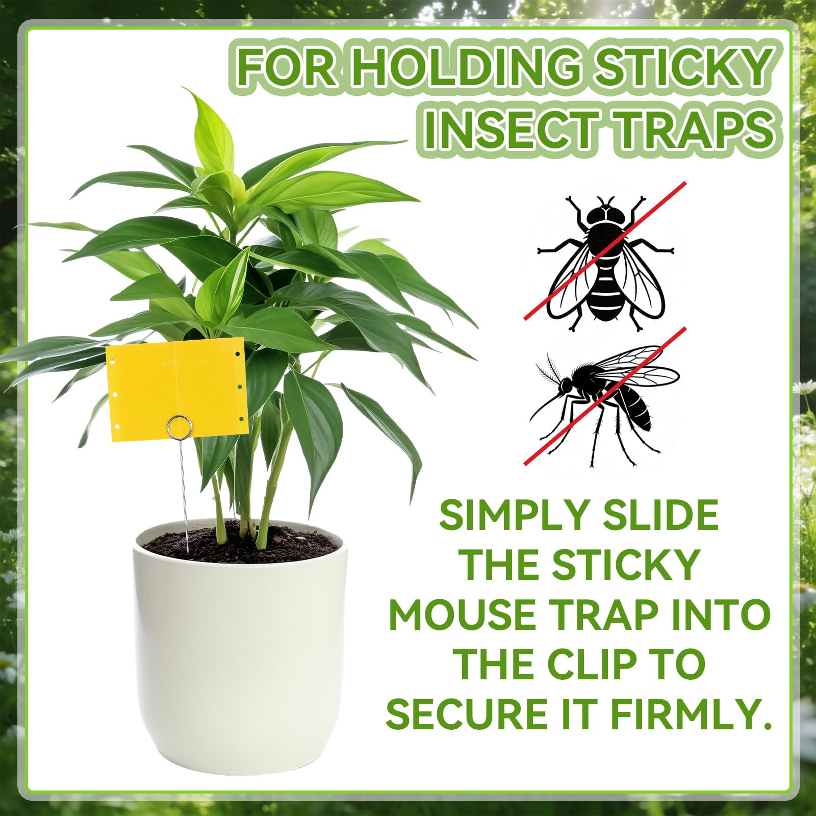 Qualirey dual-sided trap with adhesive attracts and captures a wide range of flying pests.