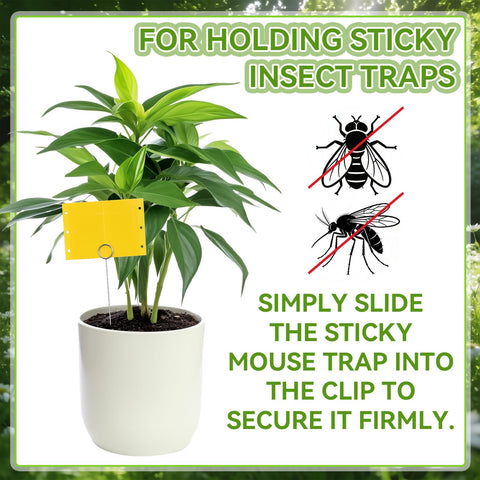 Qualirey dual-sided trap with adhesive attracts and captures a wide range of flying pests.