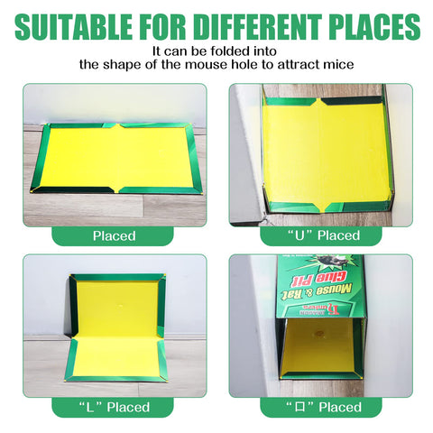 Qualirey glue trap simplifies cleanup with hands-off disposal.