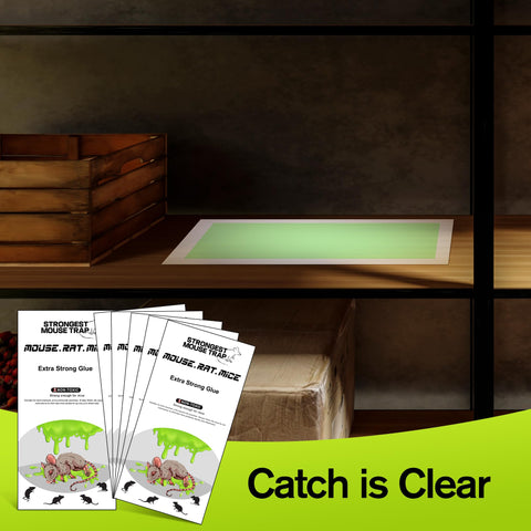 Qualirey easy setup glue trap peels and places for quick deployment