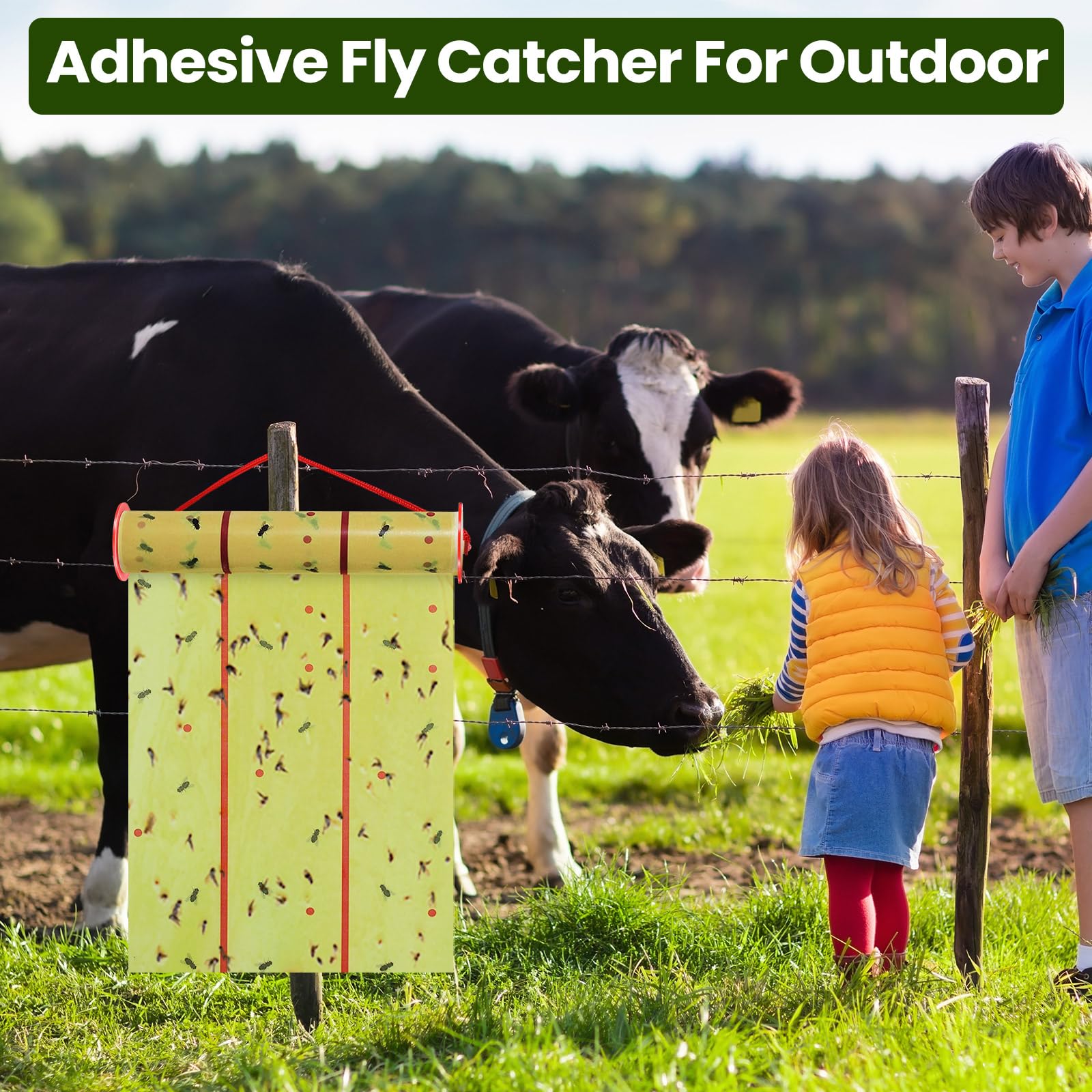 Qualirey five-roll pack provides long-lasting fly control in spaces.