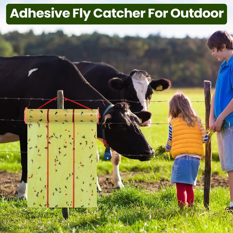 Qualirey five-roll pack provides long-lasting fly control in spaces.