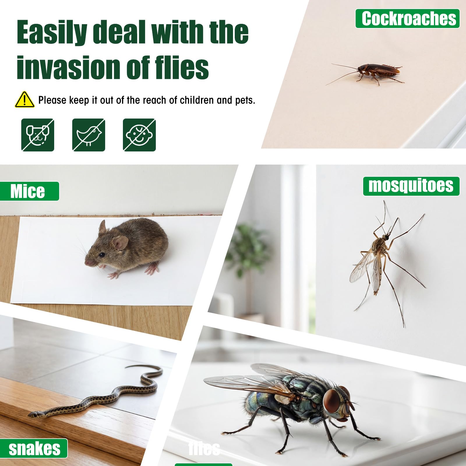 Qualirey flying insects stuck on board for mess-free indoor control