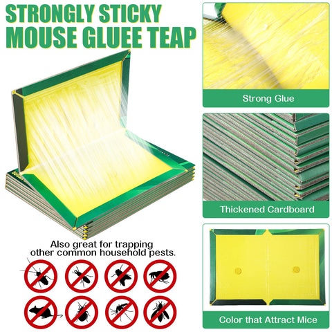 Qualirey foldable glue trap in varied shapes for tight spaces.