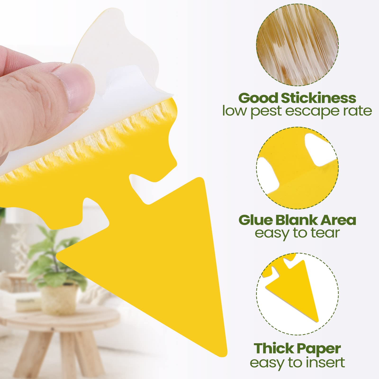 Qualirey fruit fly sticky traps birds shape; versatile placement around home.