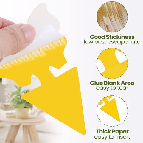 Qualirey fruit fly sticky traps birds shape; versatile placement around home.