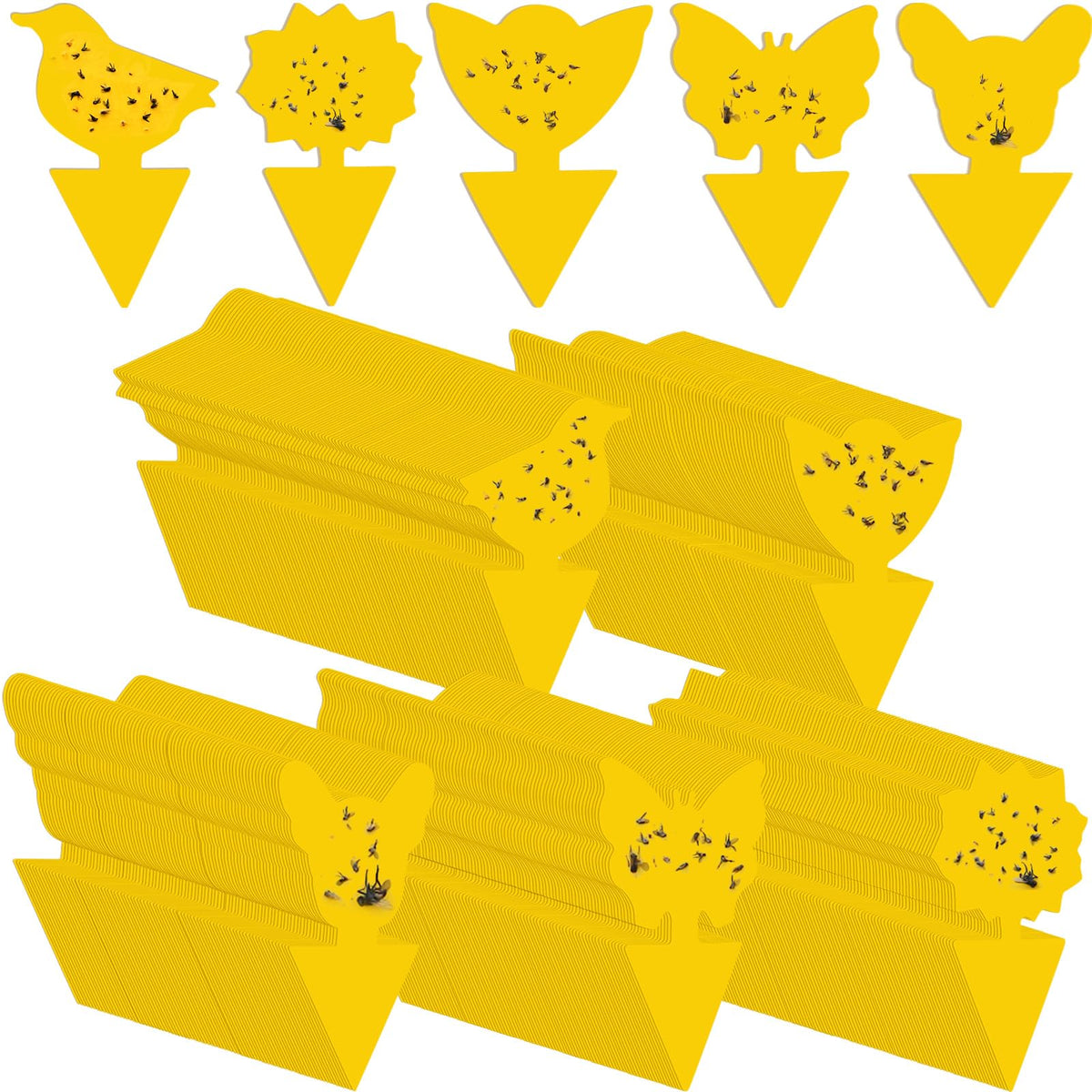 Qualirey fruit fly sticky traps butterflies shape; indoor gnat control for kitchens.