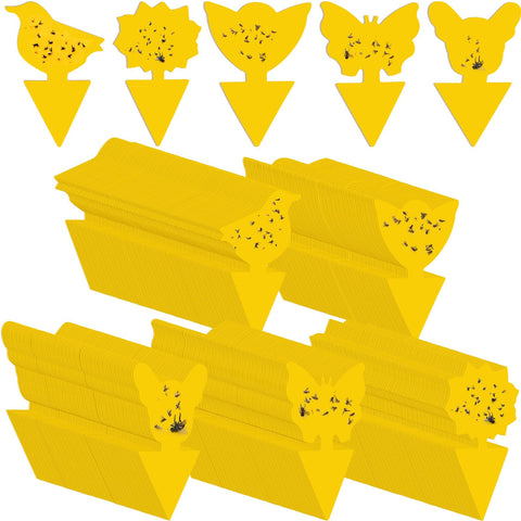 Qualirey fruit fly sticky traps butterflies shape; indoor gnat control for kitchens.