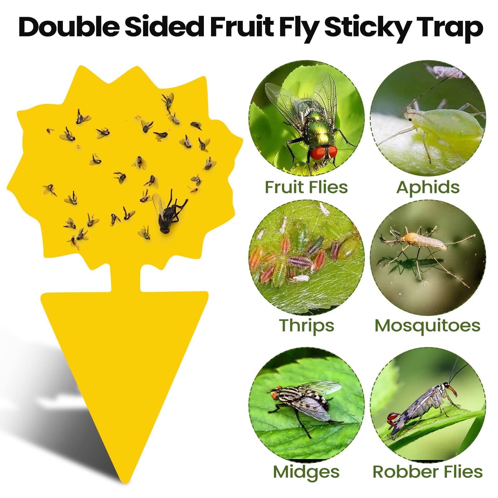 Qualirey fruit fly sticky traps tulips shape; compact fit for small plant pots.