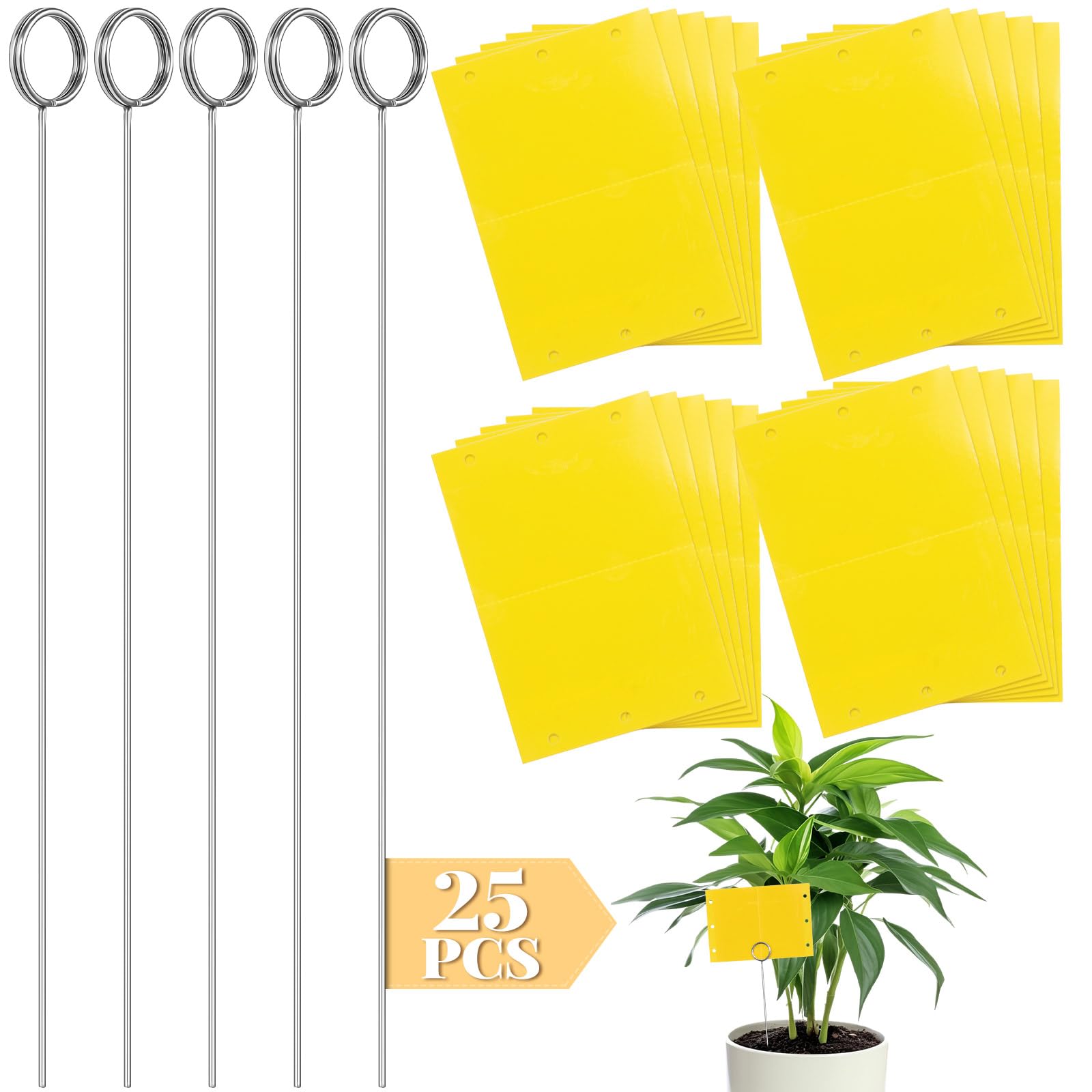 Qualirey fruit fly trap sticky card captures gnats for proactive garden pest monitoring.