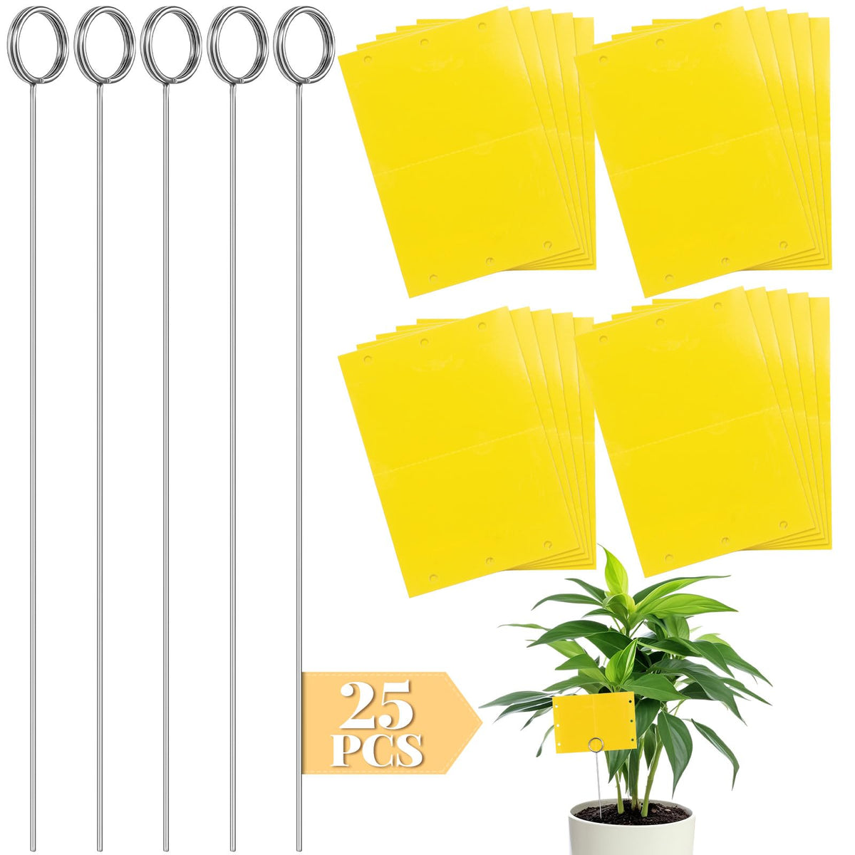 Qualirey fruit fly trap sticky card captures gnats for proactive garden pest monitoring.