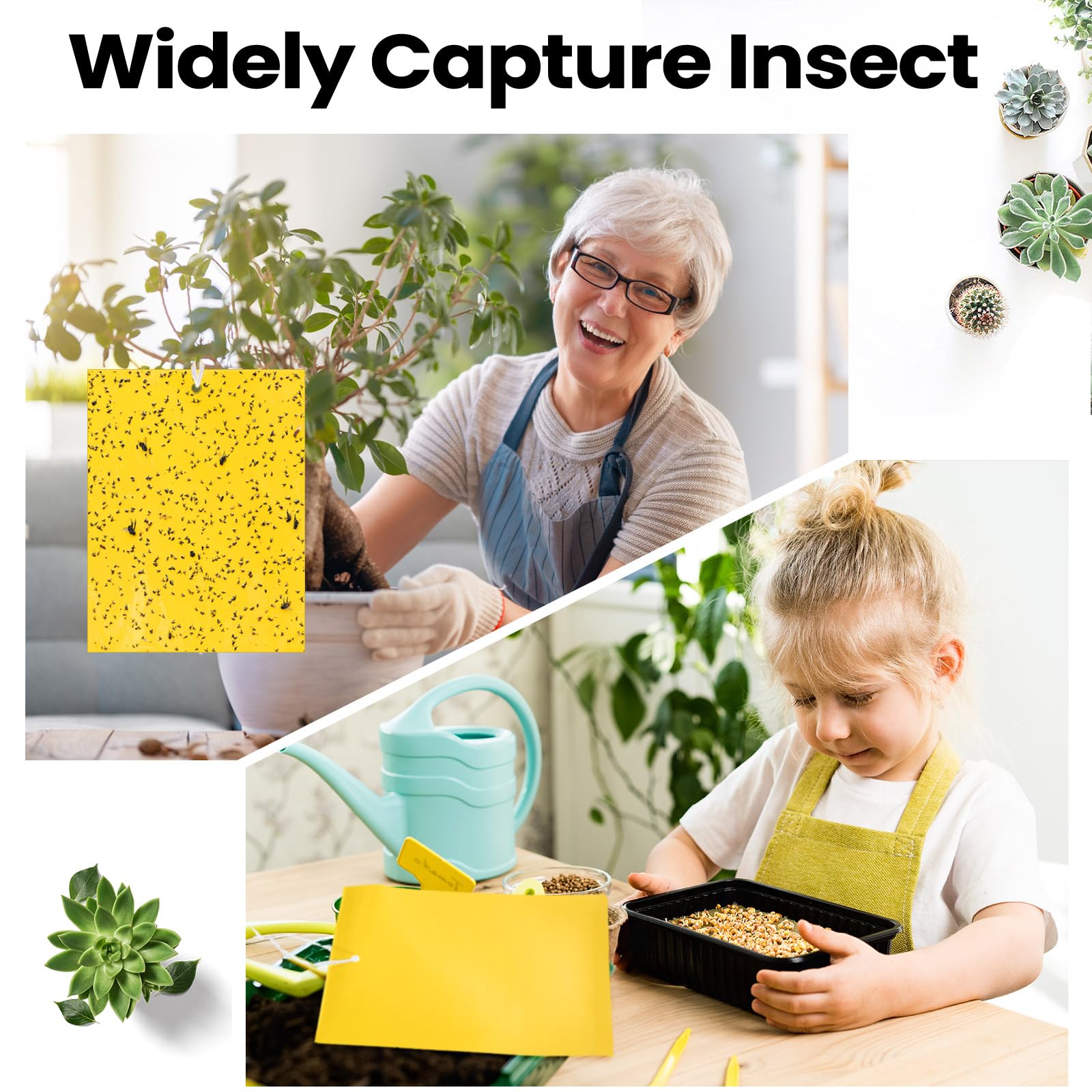 Qualirey 200-piece set supports pest management for multiple plants