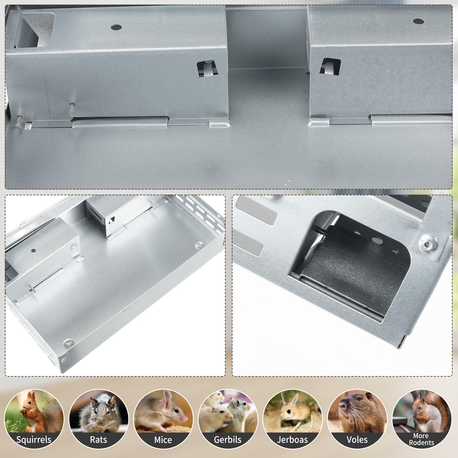 Qualirey galvanized steel mouse trap for indoor outdoor use