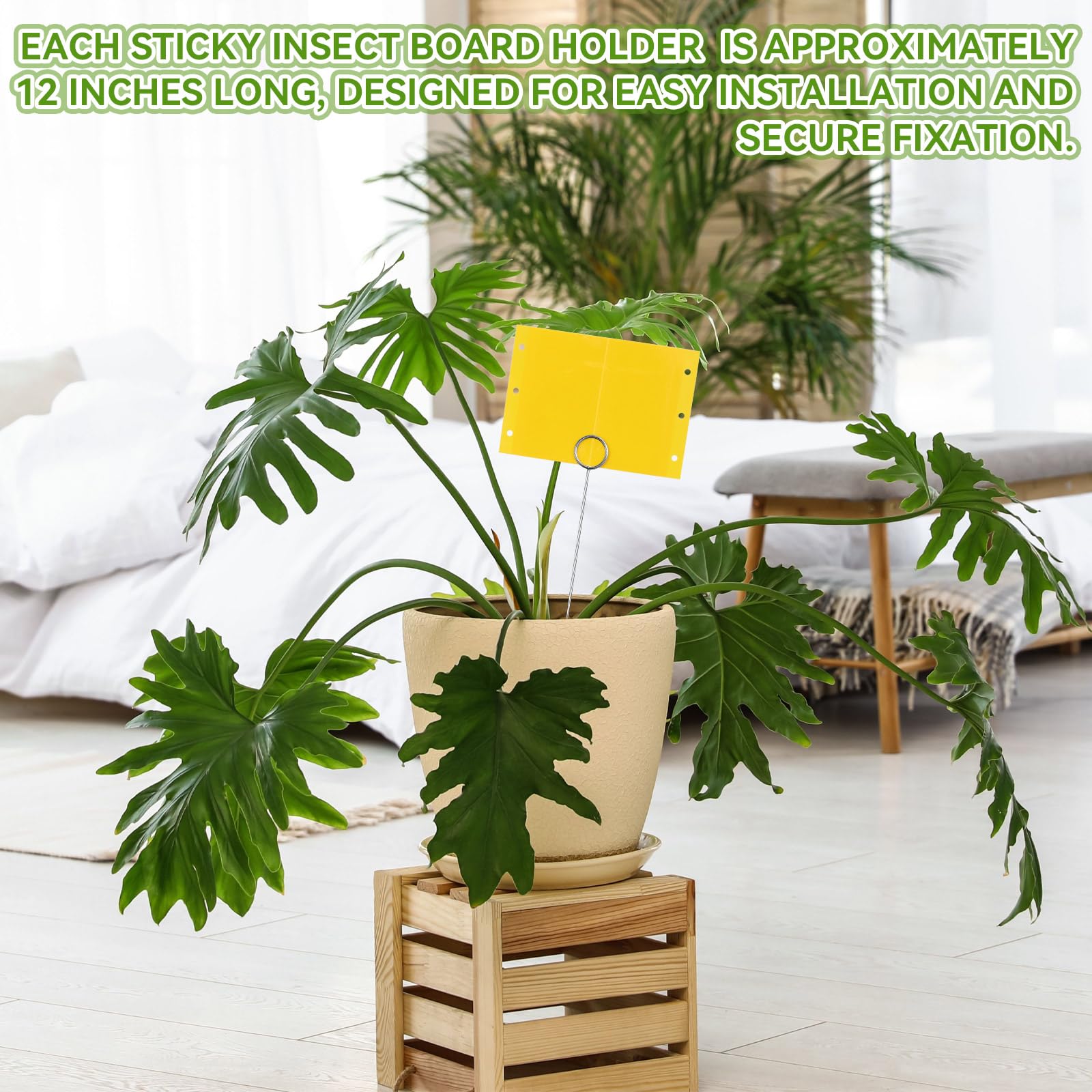 Qualirey garden pest-monitoring setup helps you gauge plant health and act early.