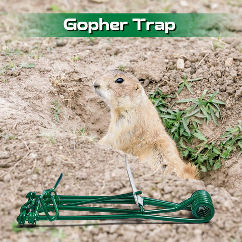 Qualirey garden-protection trap guards lawns, yards, and crops from pests.