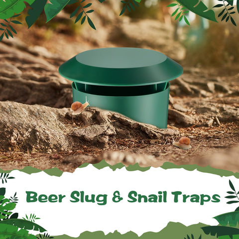 Qualirey garden-use snail trap in vegetable beds.