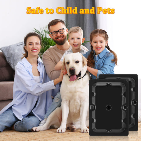 Qualirey glue trap designed to be safe for children and pets when used as directed.