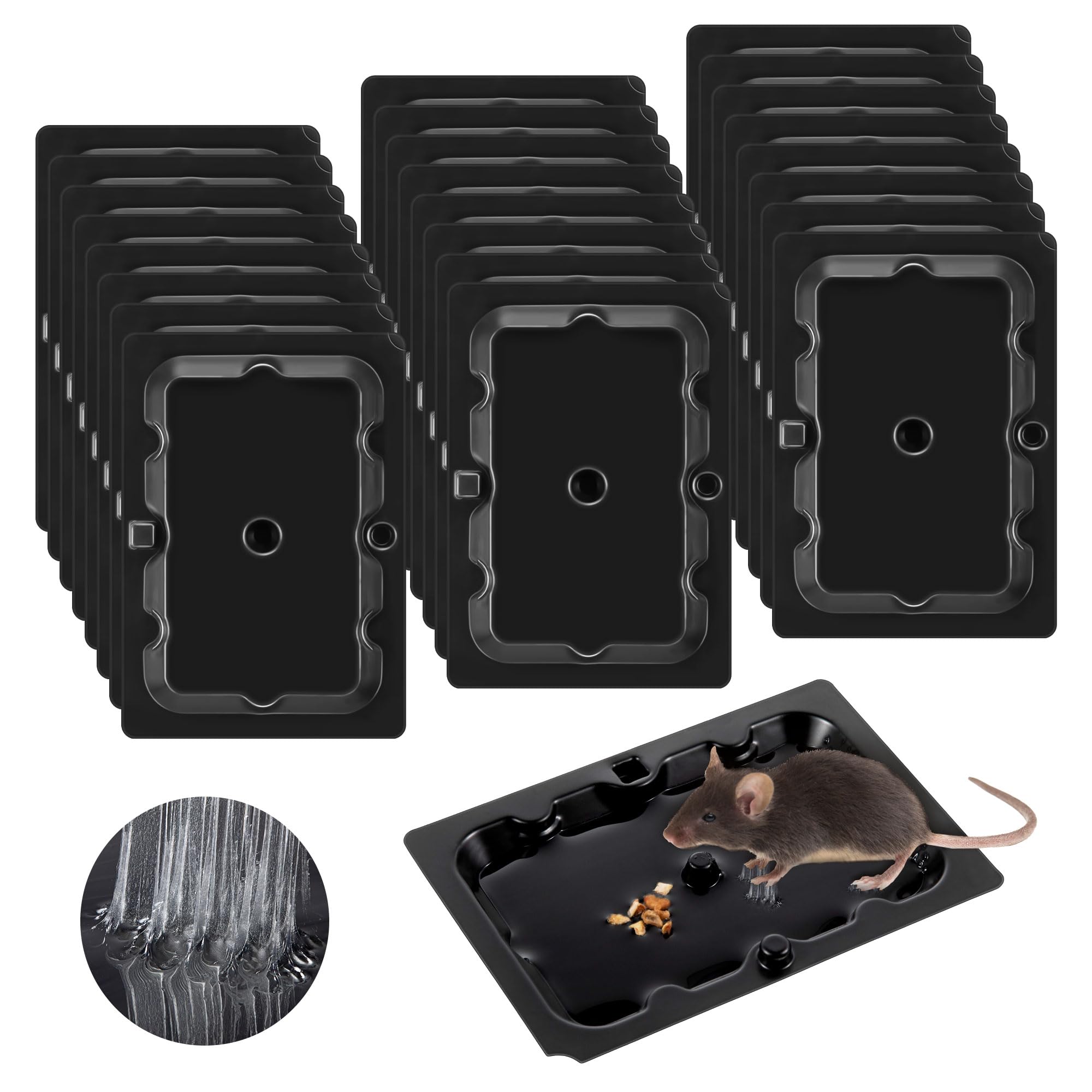 Qualirey sticky mouse trap set along a wall for effective rodent capture.