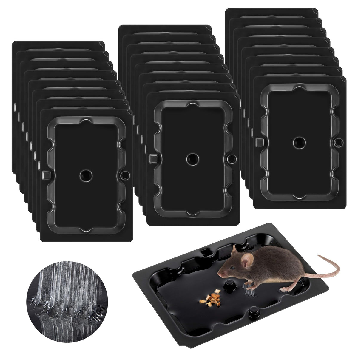 Qualirey sticky mouse trap set along a wall for effective rodent capture.