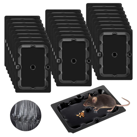 Qualirey sticky mouse trap set along a wall for effective rodent capture.