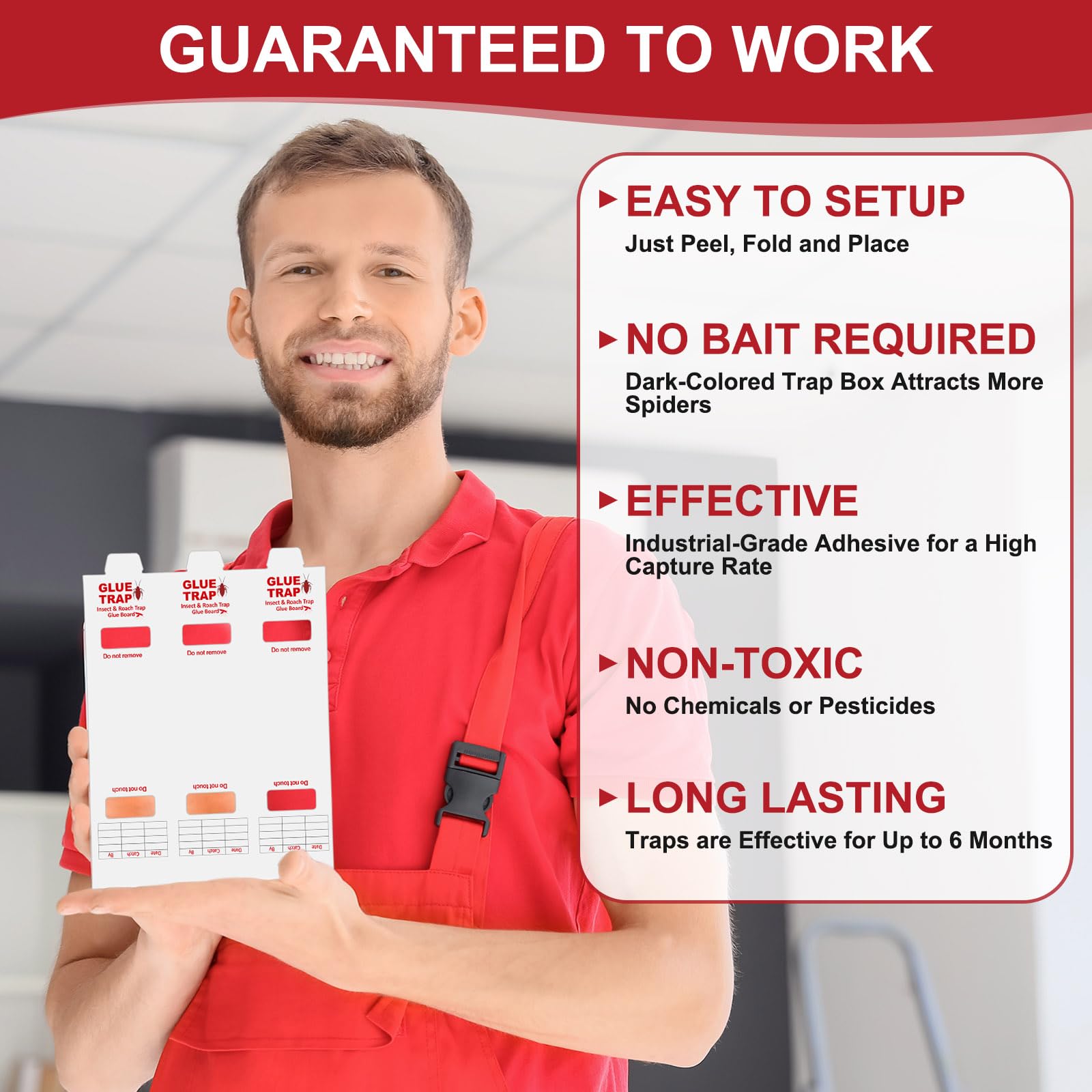 Qualirey glue traps folded setup demonstrates perforation ease.