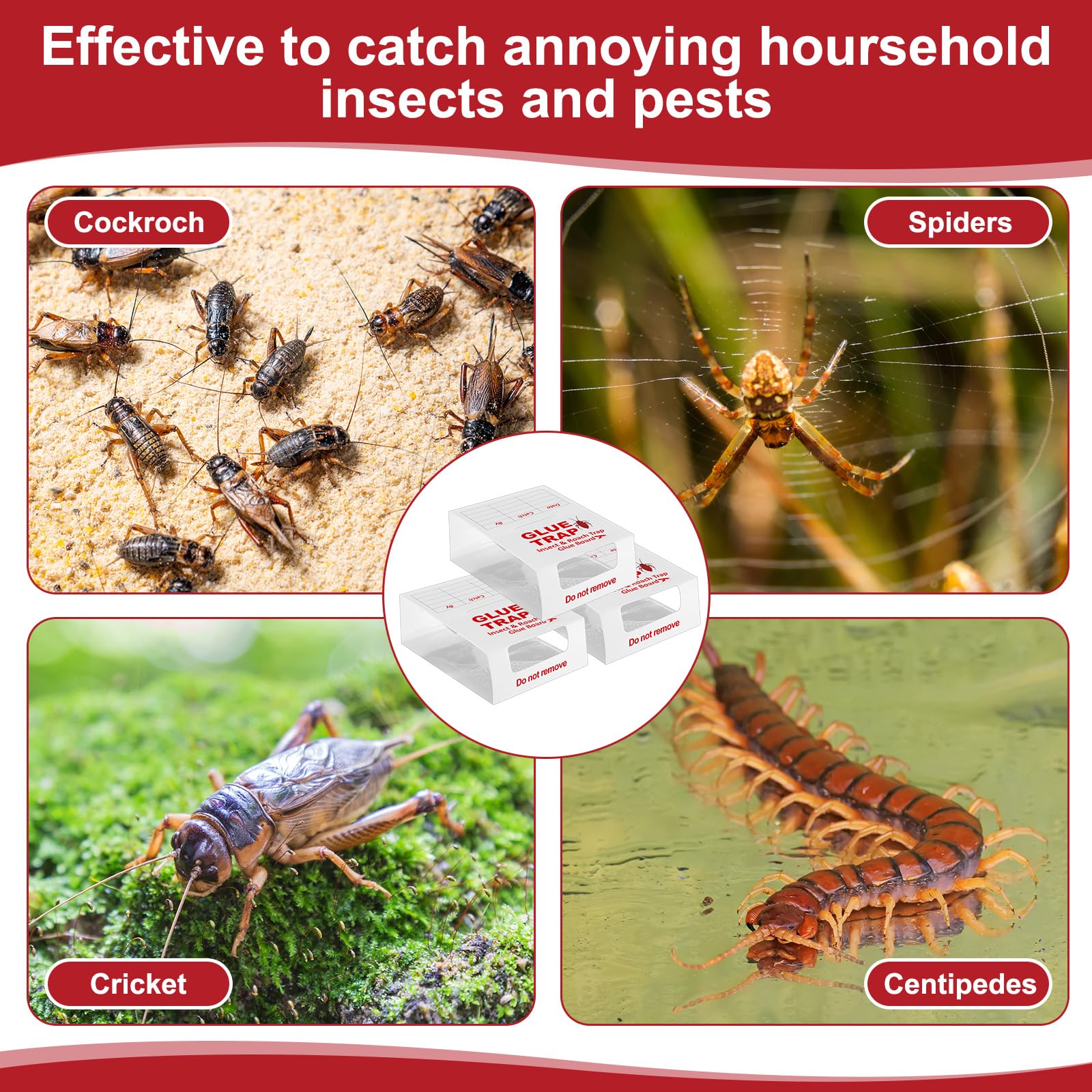 Qualirey glue traps kitchen use demonstrates discreet pest control in food areas.