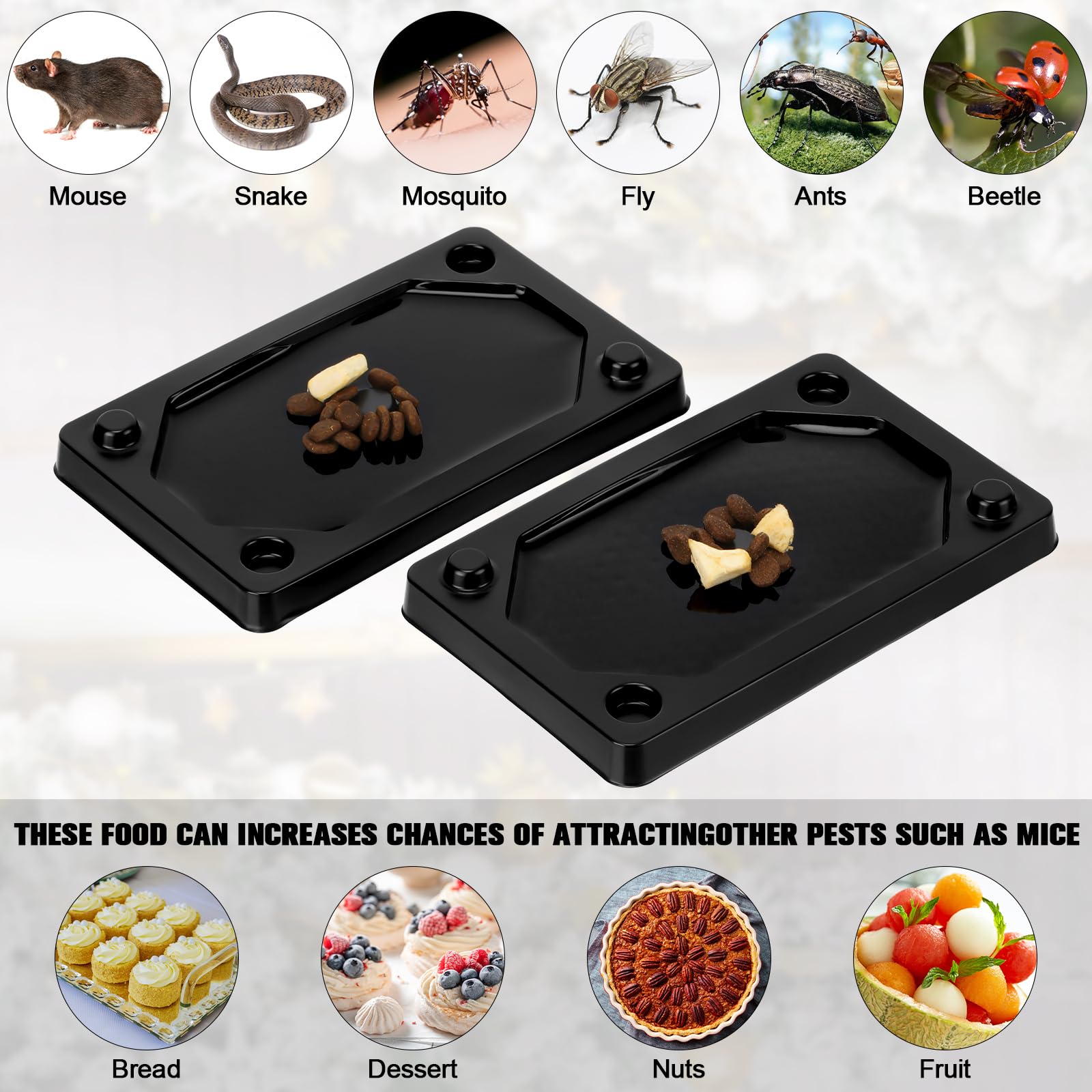 Qualirey glue traps placed in wall corner for intercepting pests