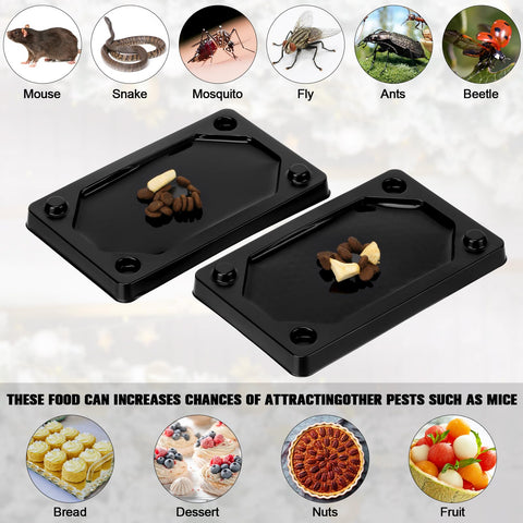 Qualirey glue traps placed in wall corner for intercepting pests