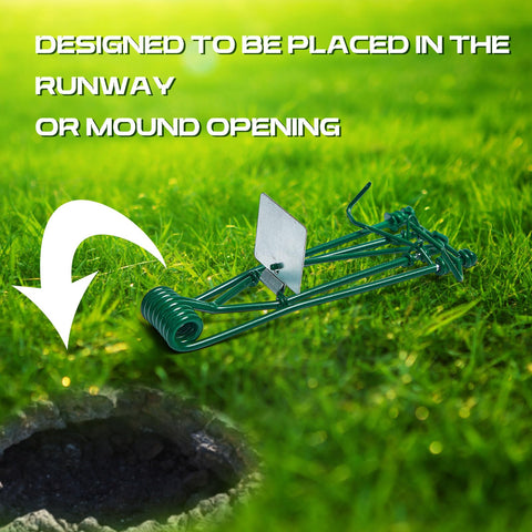 Qualirey gopher trap concealed with soil for stealth