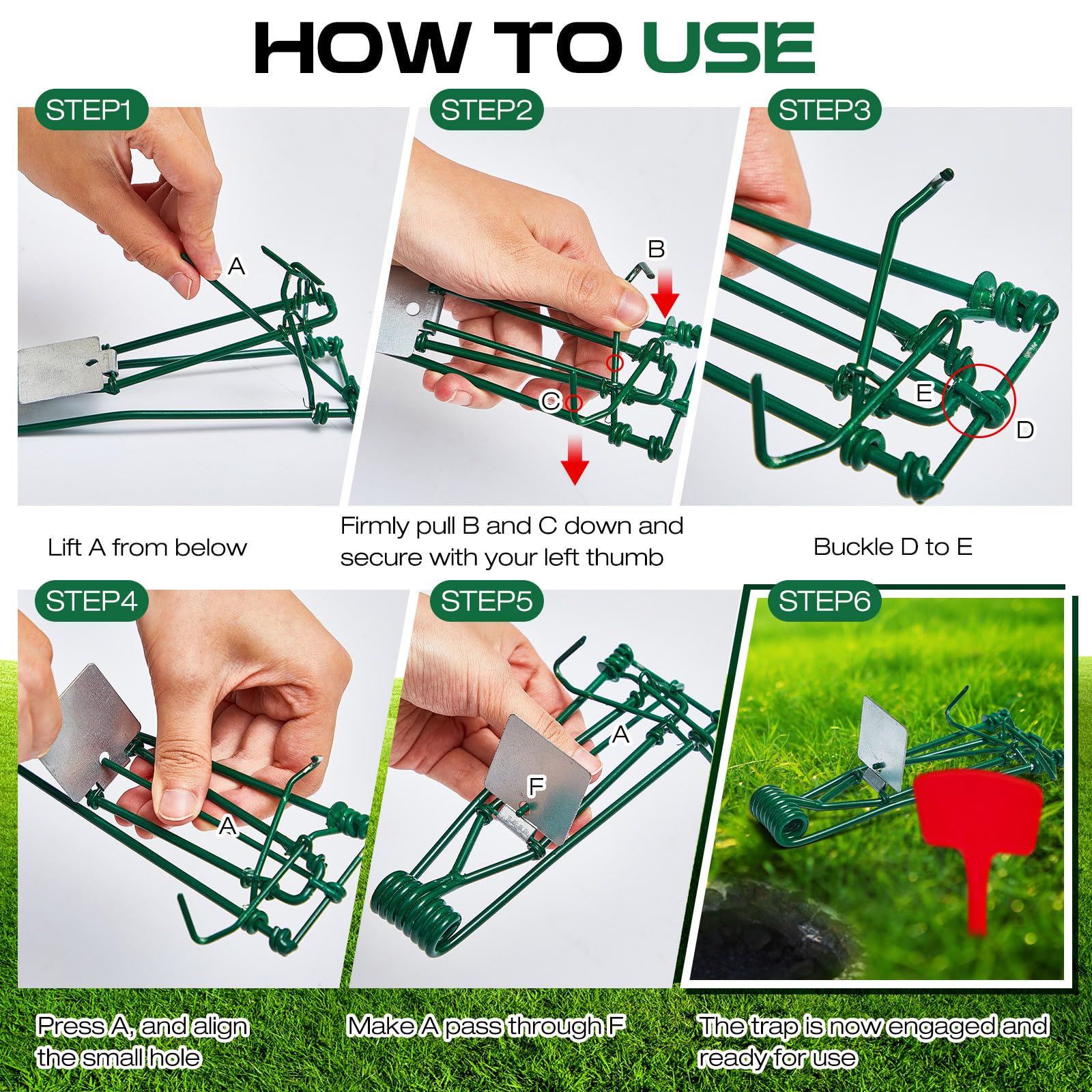 Qualirey gopher trap with pincher design for quick placement.