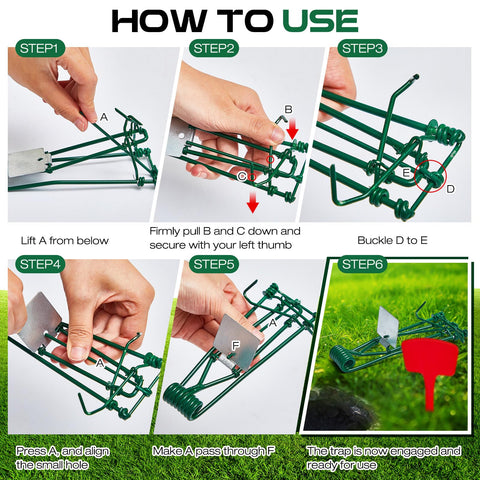 Qualirey gopher trap with pincher design for quick placement.
