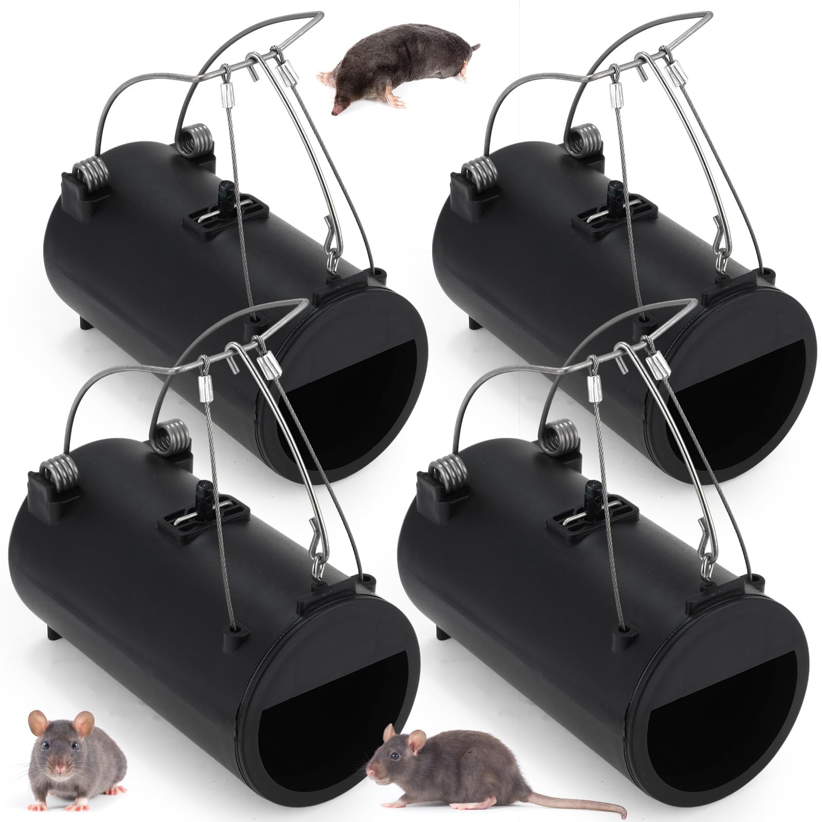 Qualirey gopher trap in tunnel setup for efficient lawn protection.