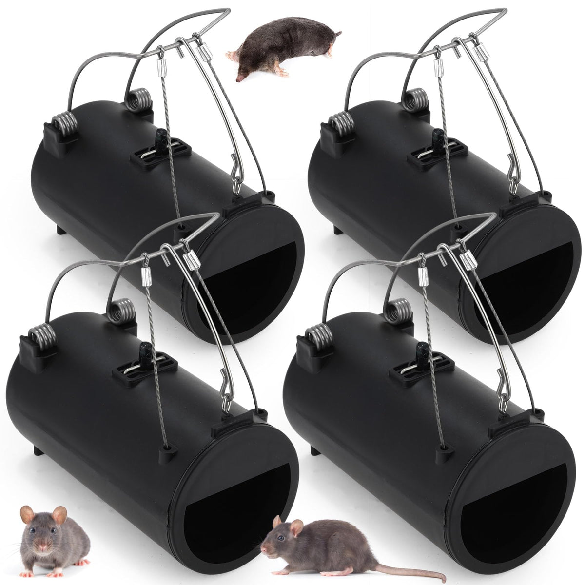 Qualirey gopher trap in tunnel setup for efficient lawn protection.