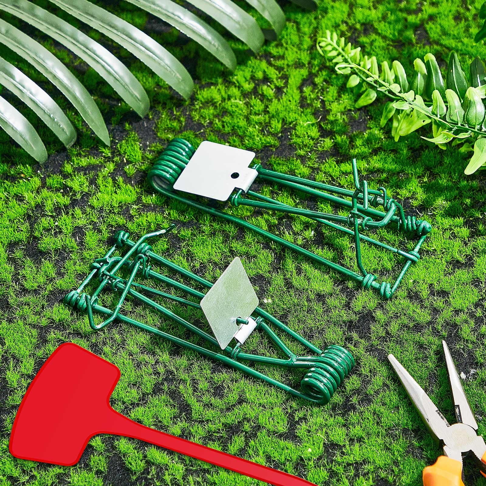 Qualirey trap concealed under soil for discreet pest control.