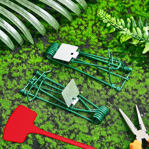 Qualirey trap concealed under soil for discreet pest control.