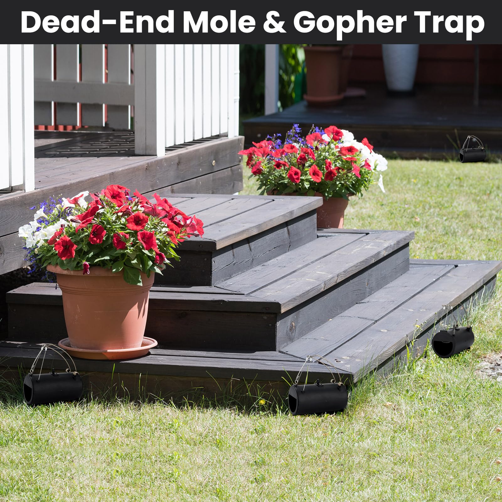 Qualirey gopher trap suitable for lawns, yards, and farms.