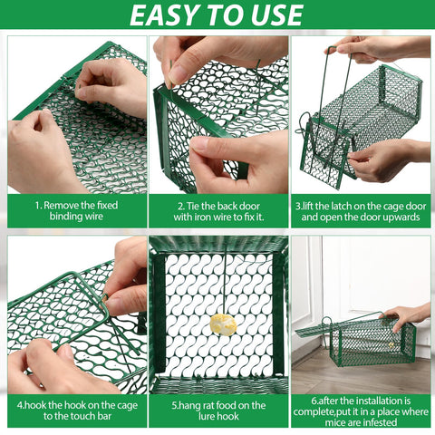Qualirey green humane trap, door locks quickly for humane capture.