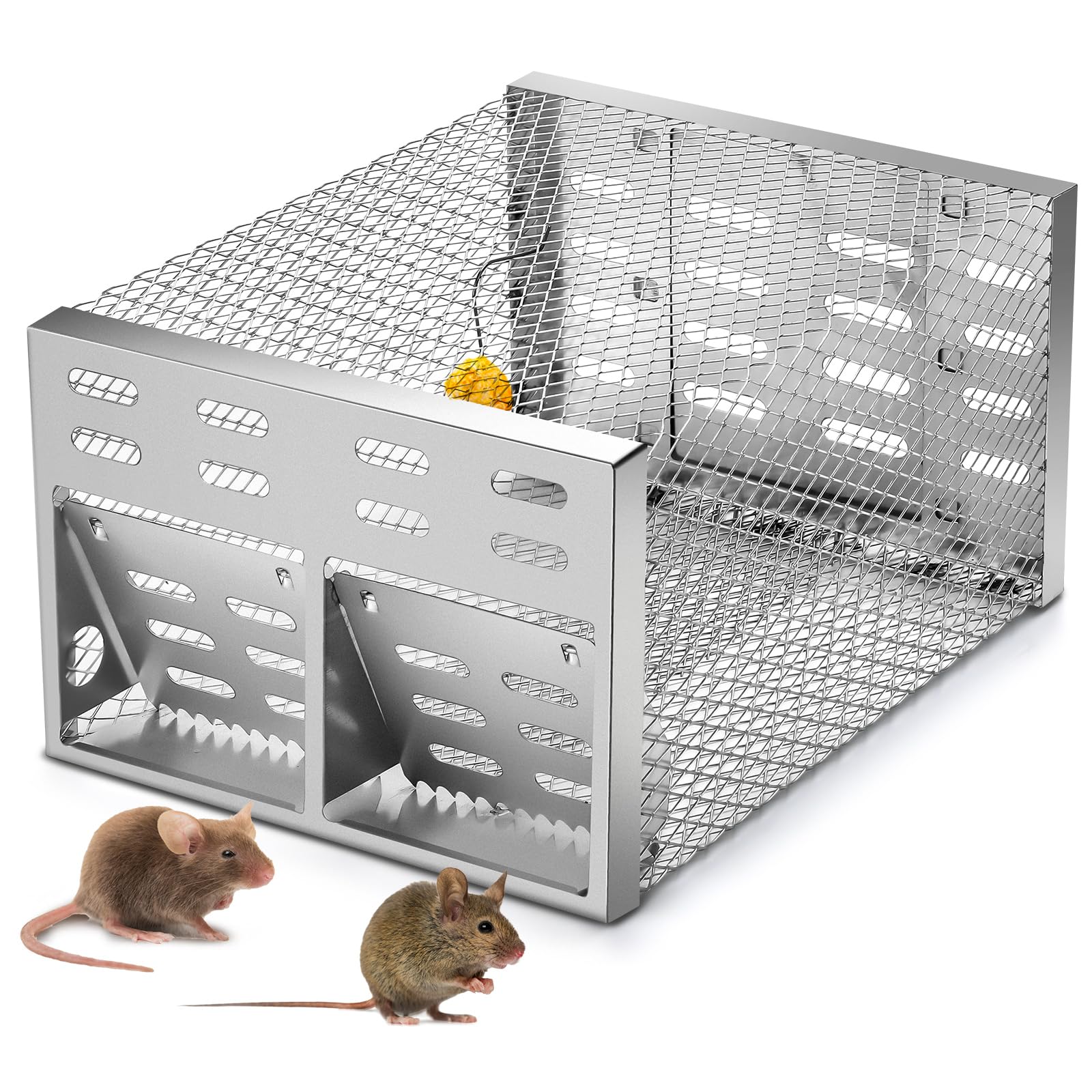 Qualirey humane rat trap with double-opening front view for safe, live capture