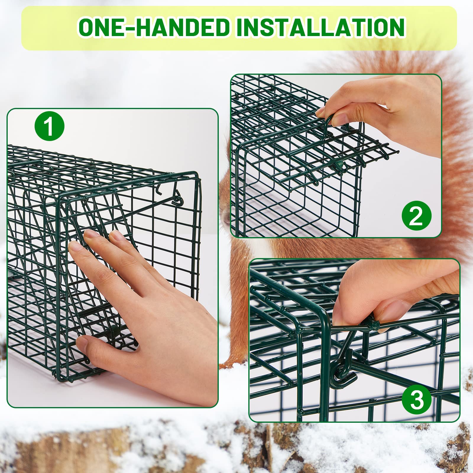 Easy setup with baiting and automatic door closure.
