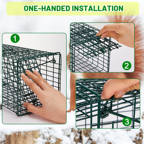 Easy setup with baiting and automatic door closure.