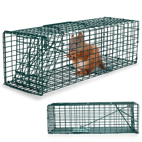 Qualirey humane squirrel trap in green for safe outdoor capture.