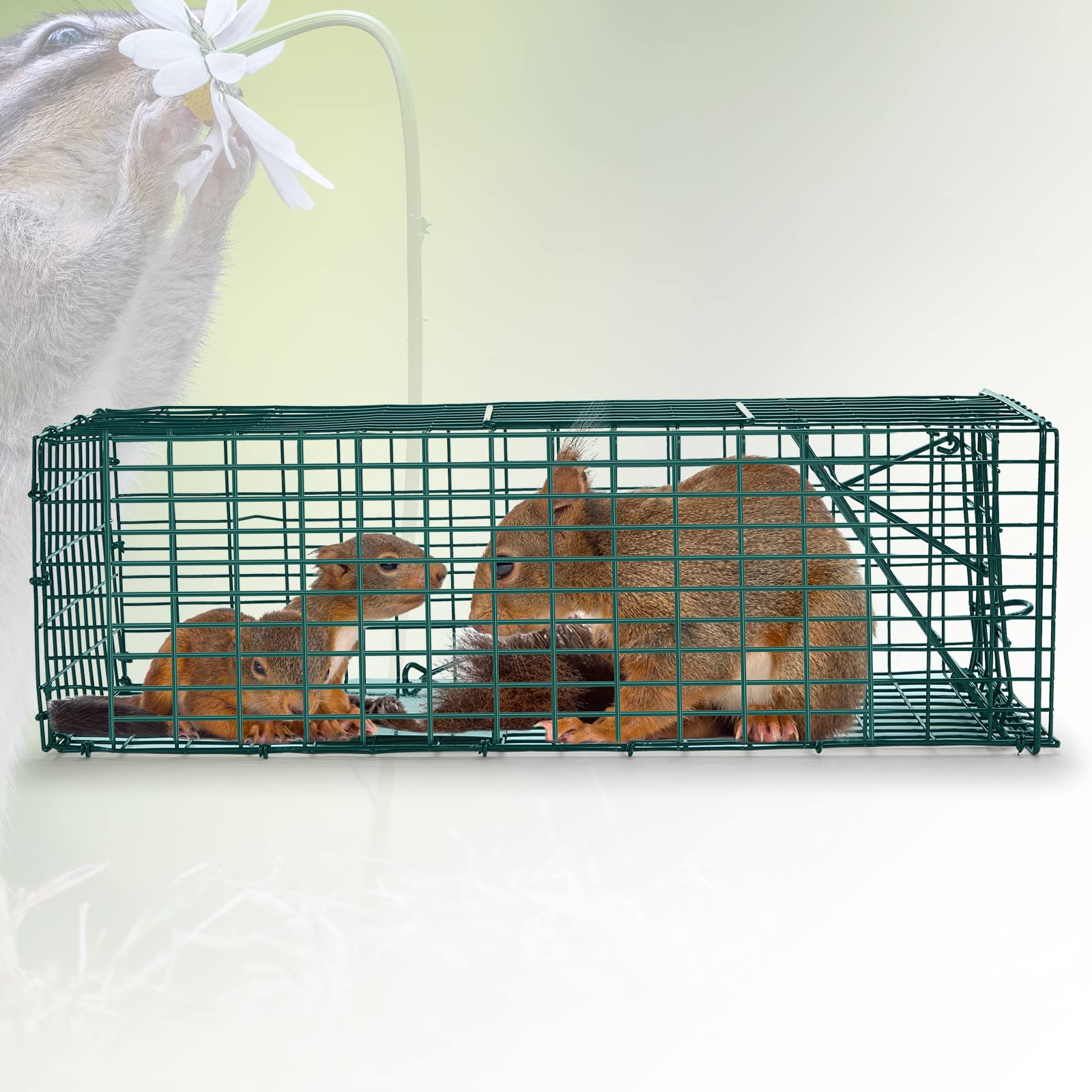 Humane release design keeps animal safe during release.